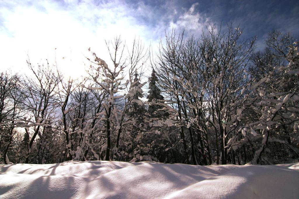 Pension Zueschener Bauernstuben Winterberg Luaran gambar